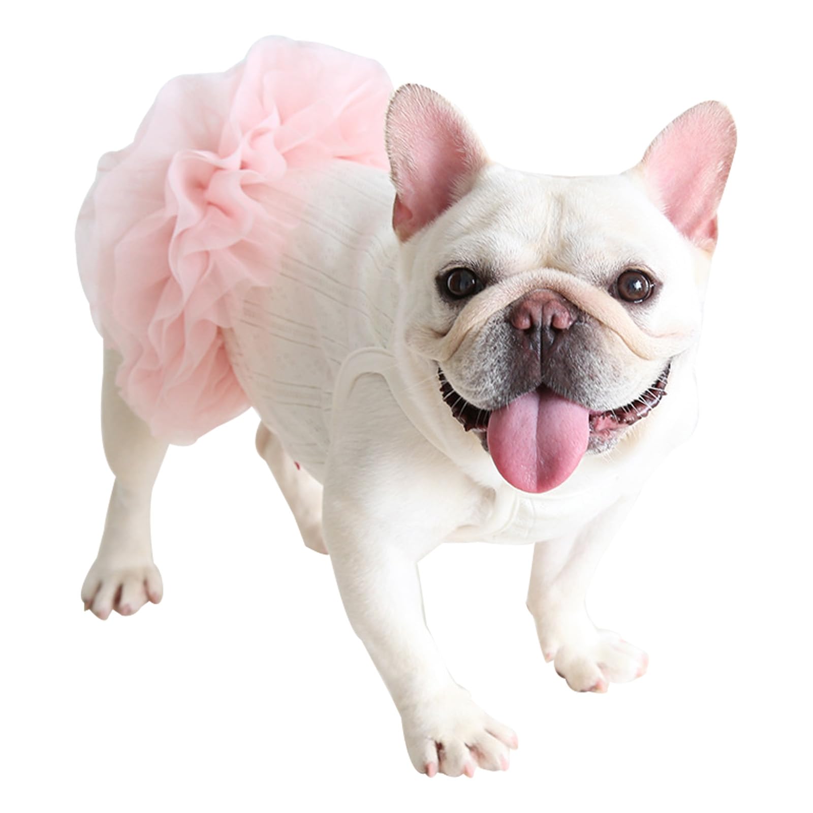 Amazon | フレンチブルドッグ用犬用チュチュドレス サマープリンセス