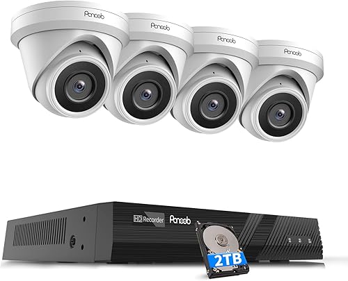 Sistema de seguridad de 4 cámaras PANOOB, 4X cámaras IP domo PoE de 5 megapíxeles con cable para exteriores con detección de personas AI, micrófono