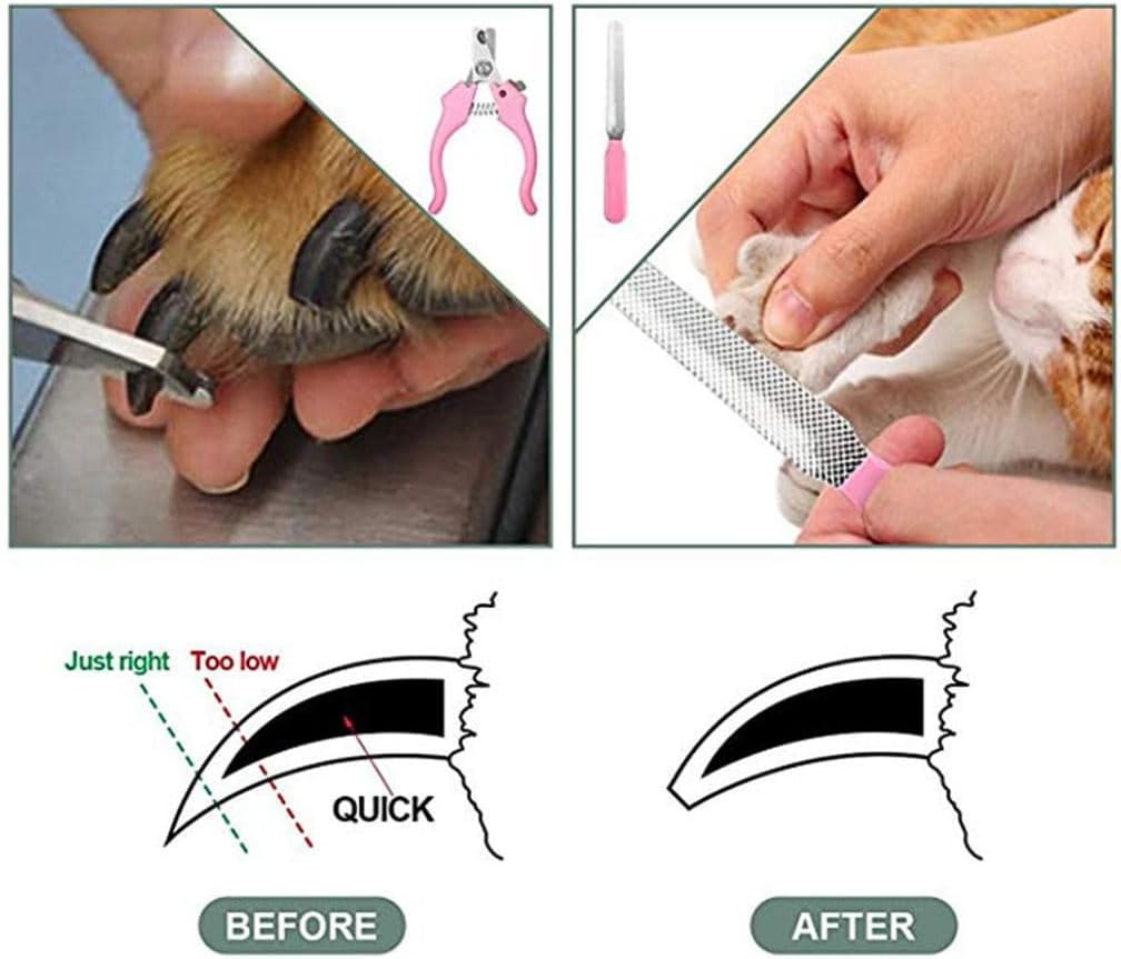 Kit Aparador de Pelos para Pets 11 em 1 Profissional – Pet Grooming Hair Clipper Silencioso, Lâminas de Alta Precisão, Ideal para Cães, Gatos e Outros Animais Recarregável Kit Aparador de Pelos para Pets 11 em 1 Profissional – Pet Grooming Hair Clipper Silencioso, Lâminas de Alta Precisão, Ideal para Cães, Gatos e Outros Animais Recarregável