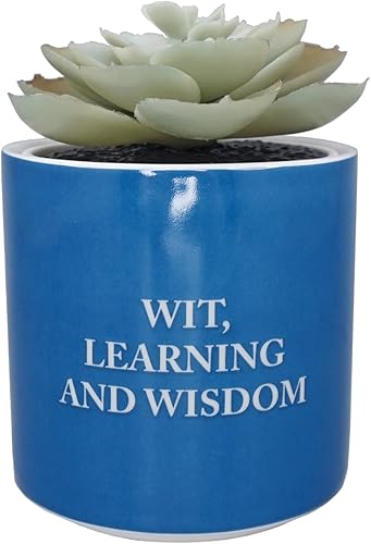 Miniatura 7 de Harry Potter Maceta, gres, rojo, 5.1 fl oz