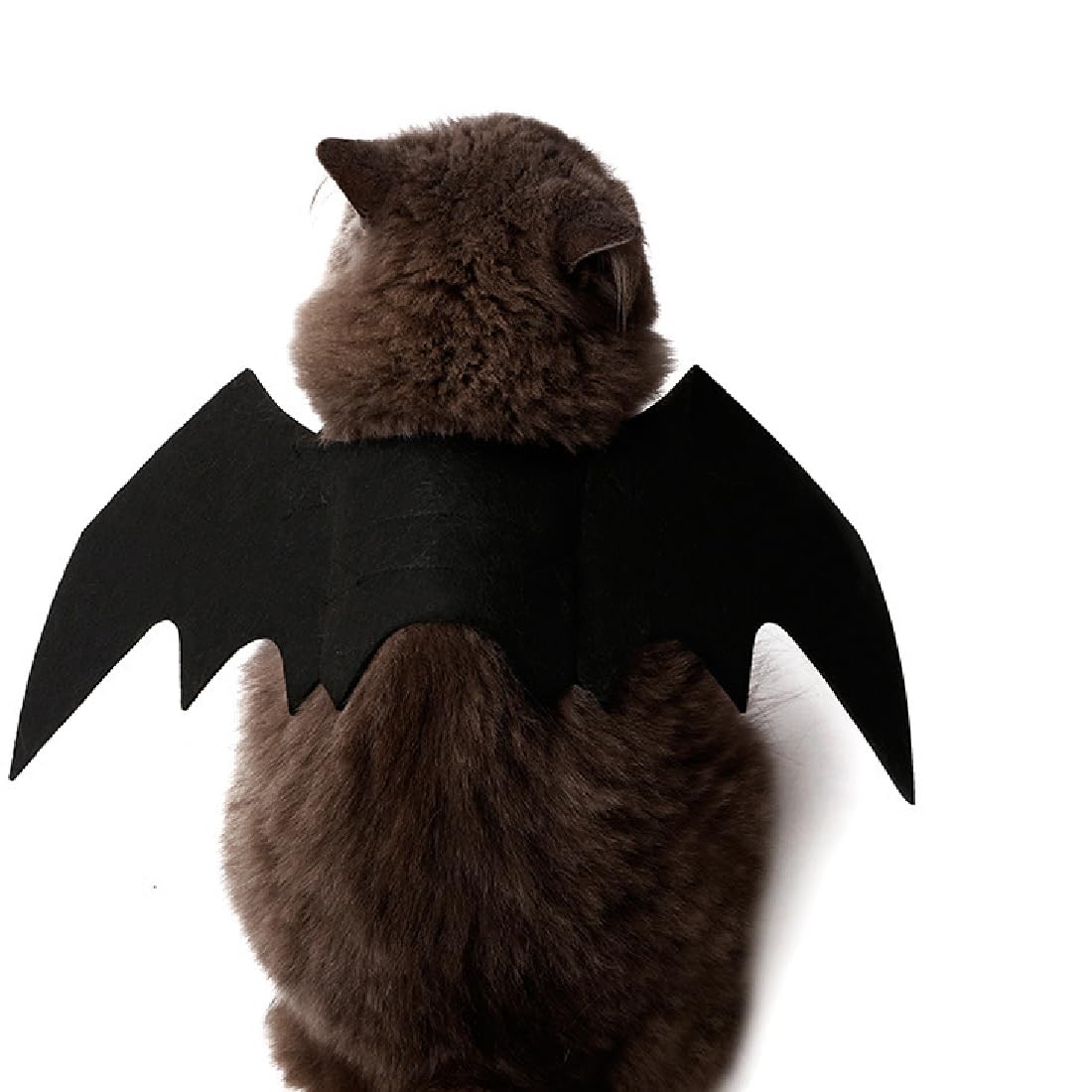 Fledermausflügel Halloween Kostüm Für Katzen & Hunde – Schwarzer Filz, Einfach Anzulegen