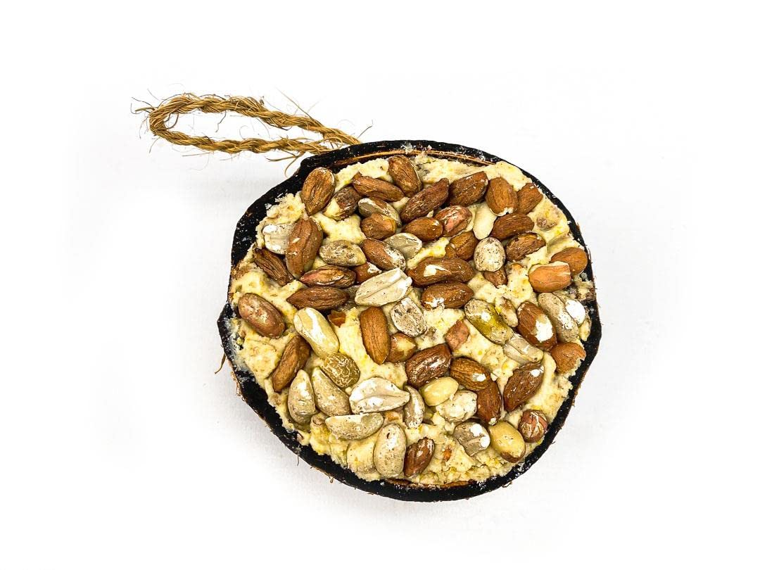 Chubby Suet Half Filled Coconuts Topped with Peanuts, Bird Feeder Coconut Halves, for Wild Birds, Coconut Shell Suet Birds Food, Suet for Blackbirds, Woodpeckers, Starlings & Sparrows (1 Pack)