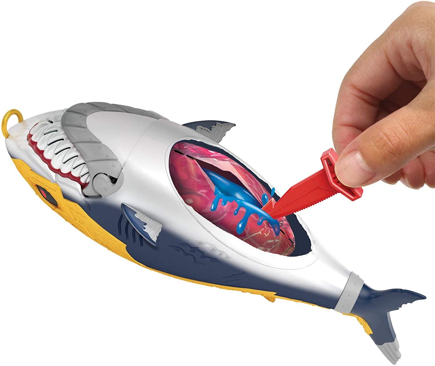 Amazon.com: Treasure X Sunken Gold Shark's Treasure, Multicolor