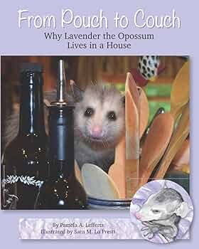 From Pouch to Couch: Why Lavender the Opossum Lives in a