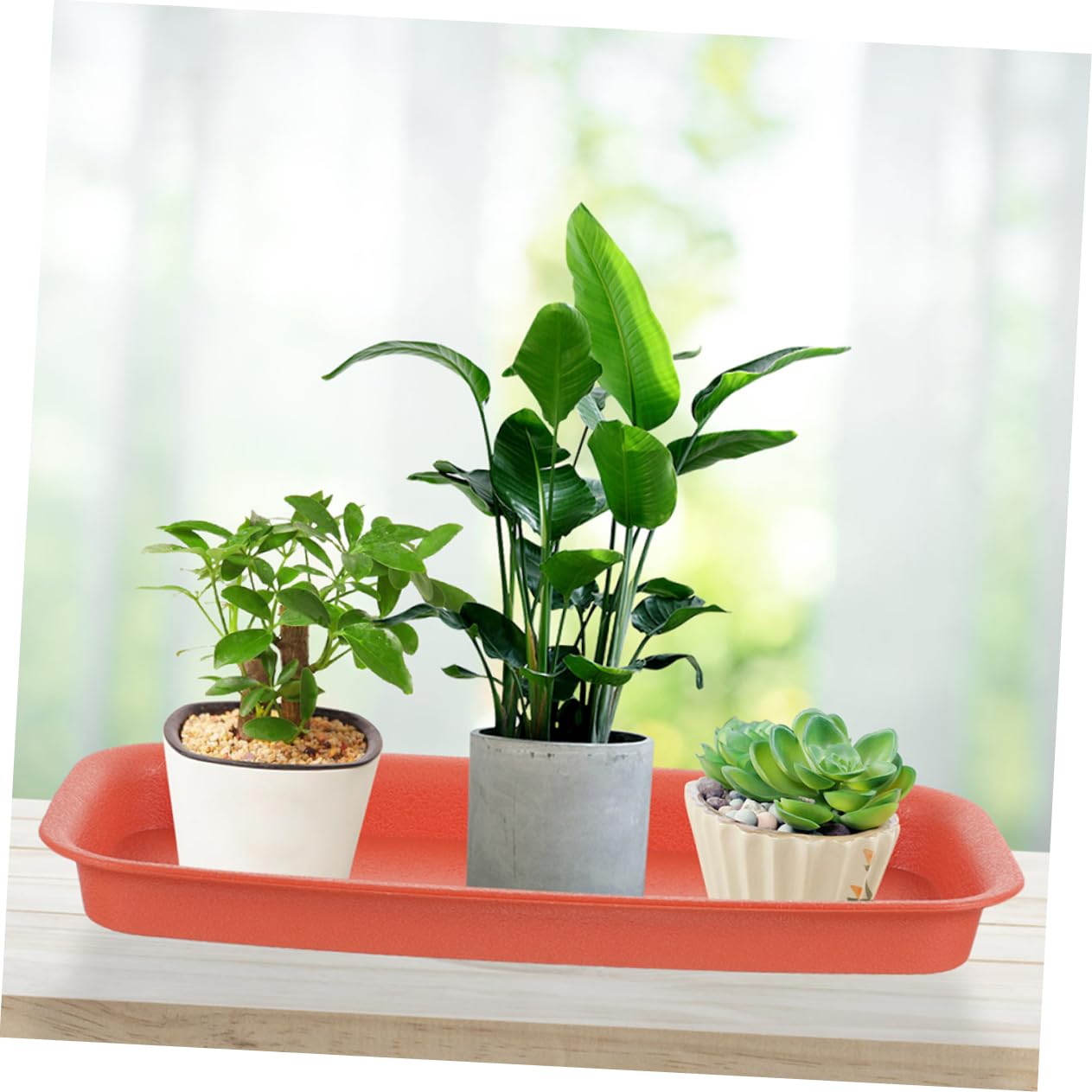 2 Vaschette Portavasi Per Giardinaggio - Sottovasi In PP Nero 35x35x4,8 Cm - Foto 2