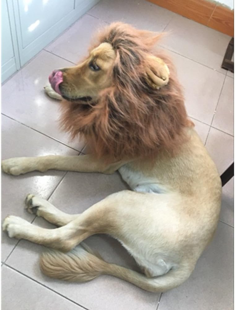 Dog Wig Lion Mane - Iceye Dog Costume Wig Realistic & Funny Dog Wigs for Medium to Large Dogs (Dark brown mane with ear)