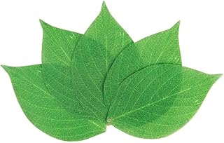 Oasis Supply Grease Resistant Leaf Cheese Paper, Disposable Cheese Board Paper, Package of 10 - Medium 7"