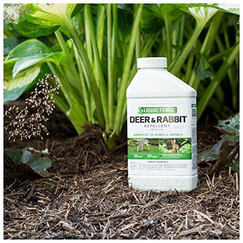 Liquid Fence Deer & Rabbit Repellent Concentrate, 32-Ounce