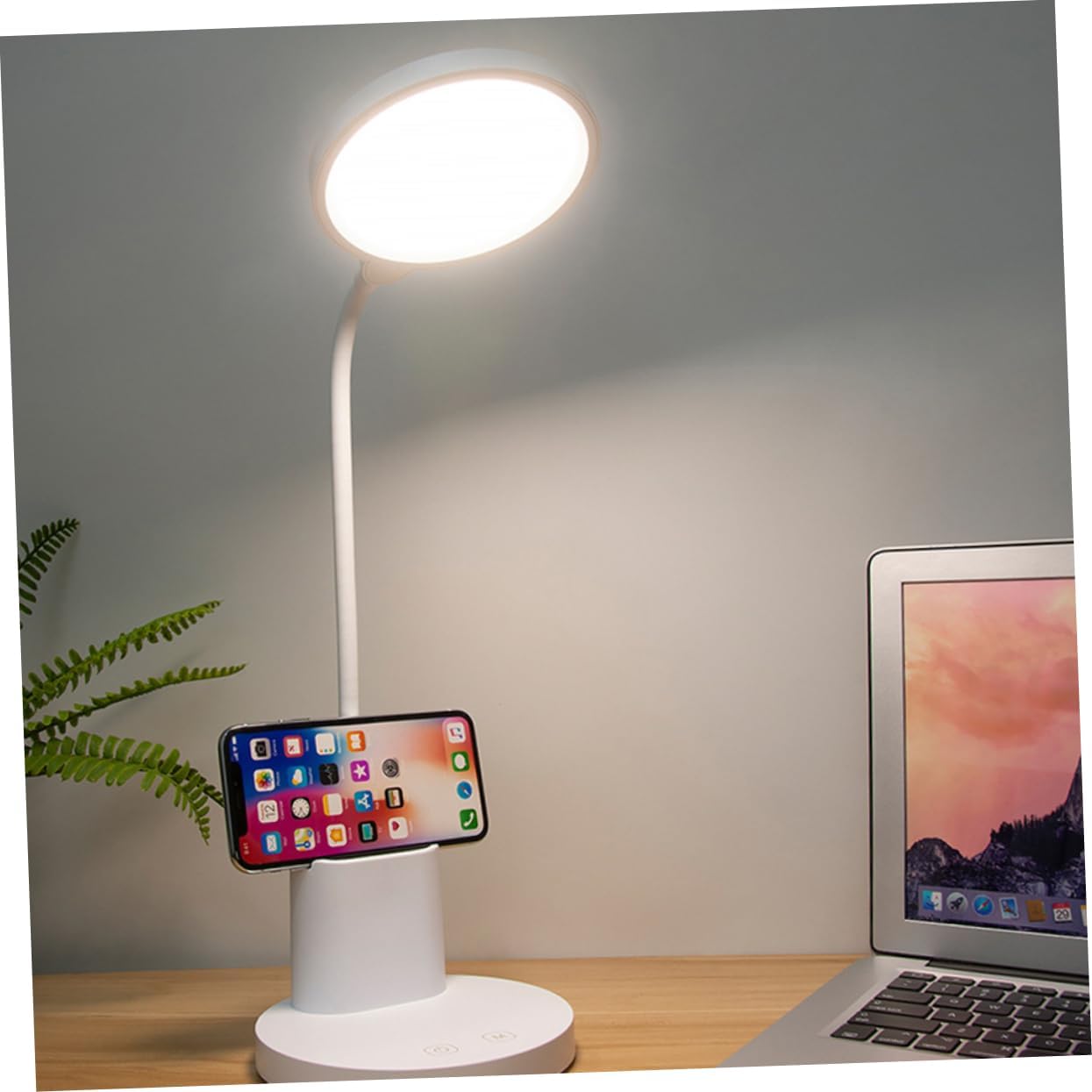 USB Reading Light with Battery Adjustable Led Desktop Lamp Color Temperature Eye-Care Book Light Flexible Gooseneck with Storage Container White