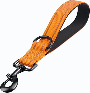 Kurzführer Hund 30cm, Hundeleine kurz mit Metallclip und Weiche Polsterung, Reflektierend Nylon Hundeleine Geeignet für Mittlere Große Hunde(Orange,S)