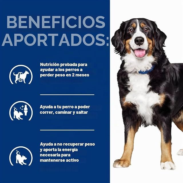 Foto 4 de 8 de Hill's HPD Canine Metabolic Plus Mobility - 12 kg