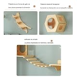 Ver la foto 4