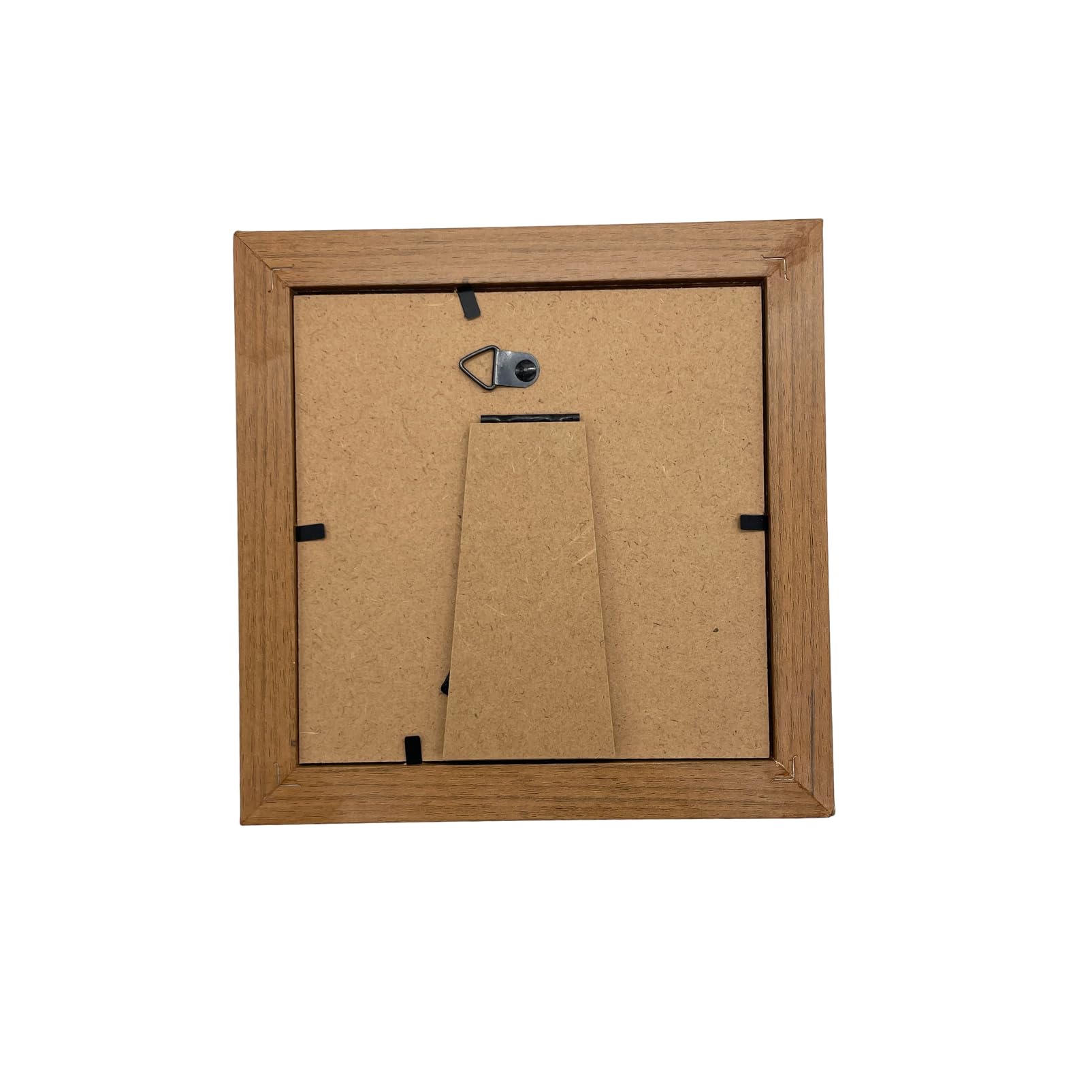 Amazon.co.jp: COZENTA 標本箱 シーラケース 昆虫 小型 木製 MDF