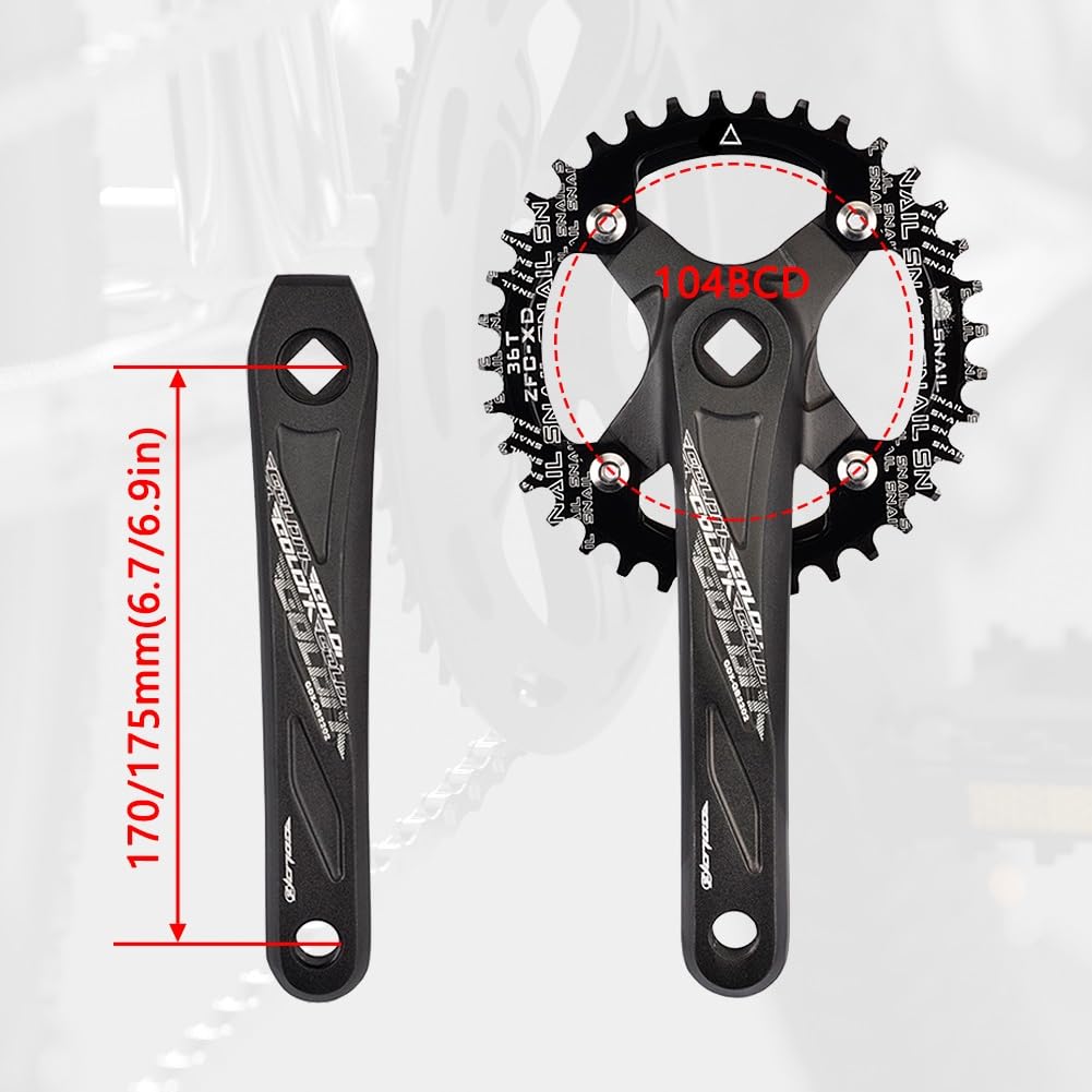 Guarnitura per Mountain Bike a velocità Singola 170/175 mm, pedivelle con Fori a Diamante per Bici da Strada con 104 corone Rotonde Strette e Larghe da 32/34/36/38/40/42 Denti, ADA