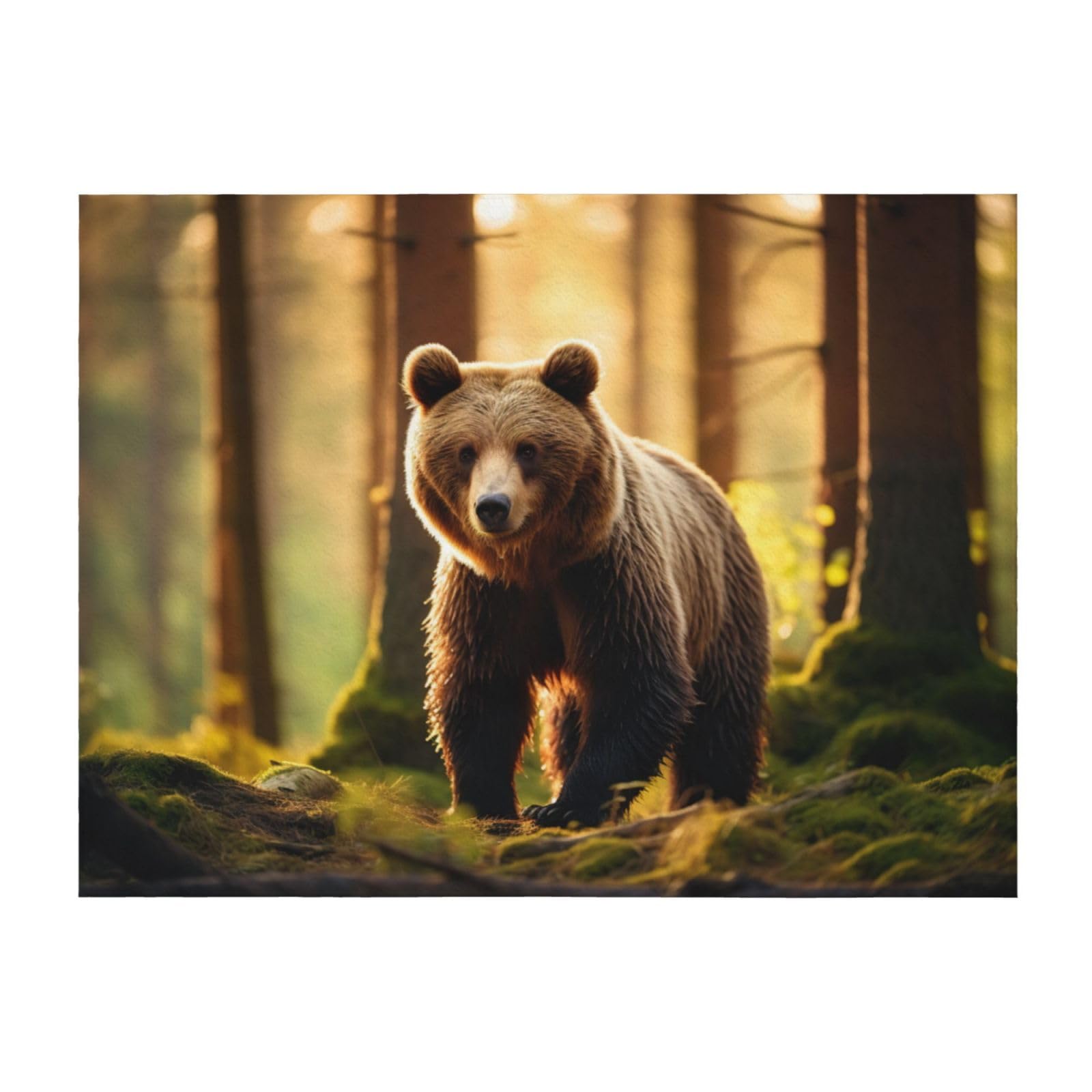Couverture légère toutes saisons Bear Wallpapers1 pour lit et fauteuil