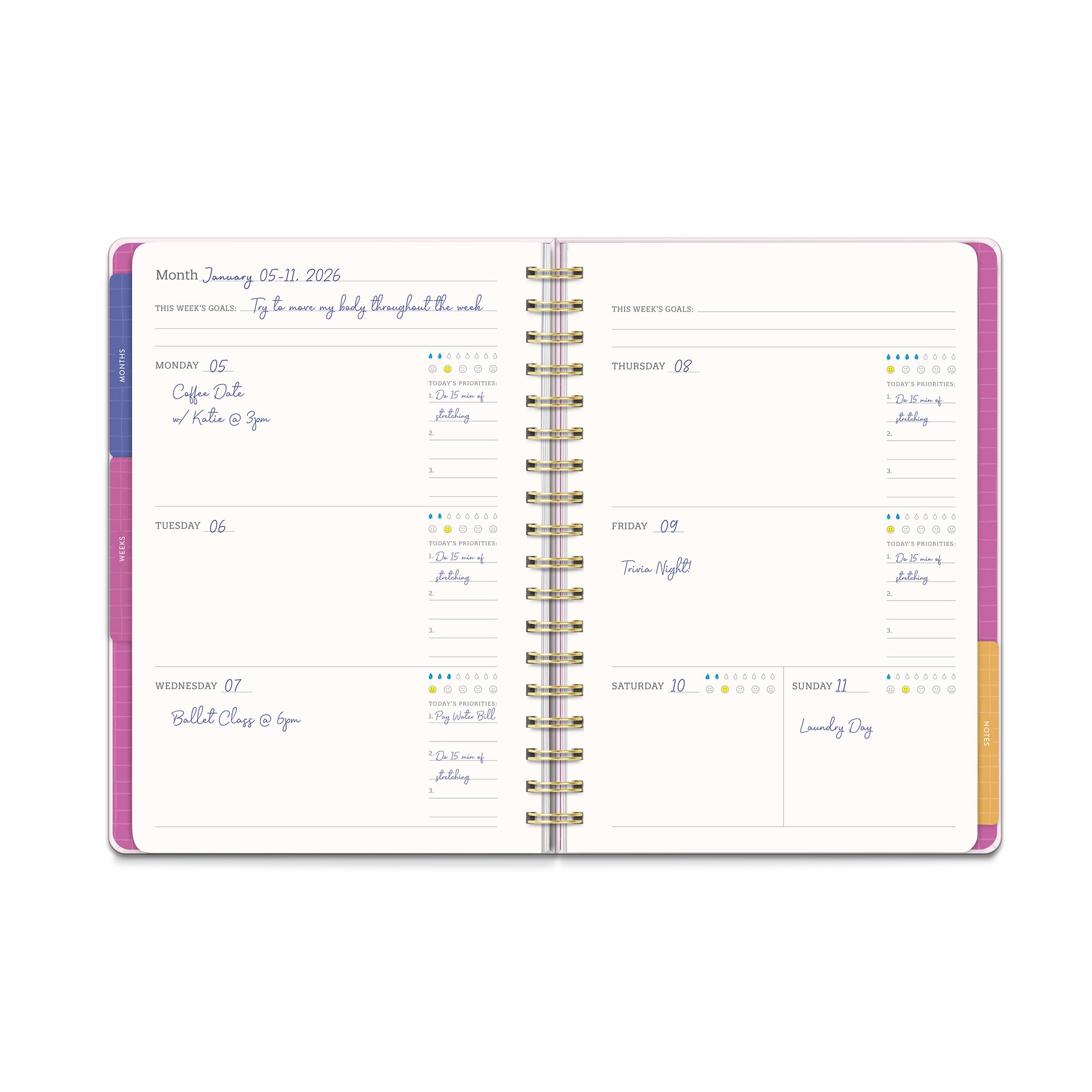 Agenda giornaliera senza date, planner settimanale e mensile con adesivi, calendario Orange Circle Studio 17 mesi, 17,8 x 24,4 cm, ideale per scuola e ufficio, planner Tri-Tab, stampa fiera floreale