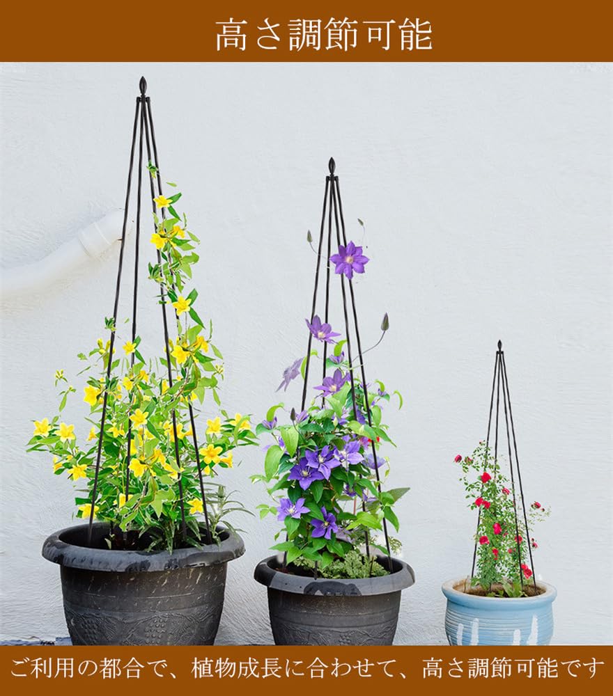 Amazon | 植物支柱 園芸支柱 ガーデニング用支柱 バラ用 つる花 園芸
