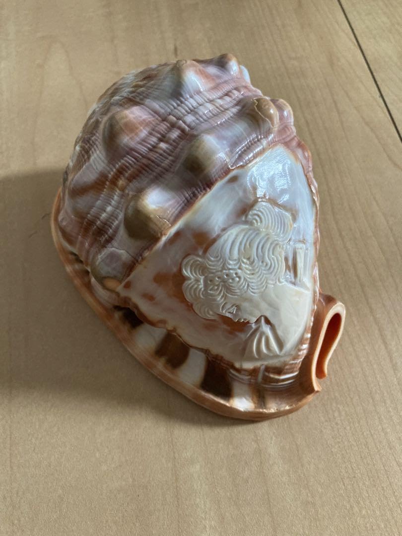 Amazon.co.jp: シェルカメオ カメオ 貝 イタリア ヴィンテージ vintage 