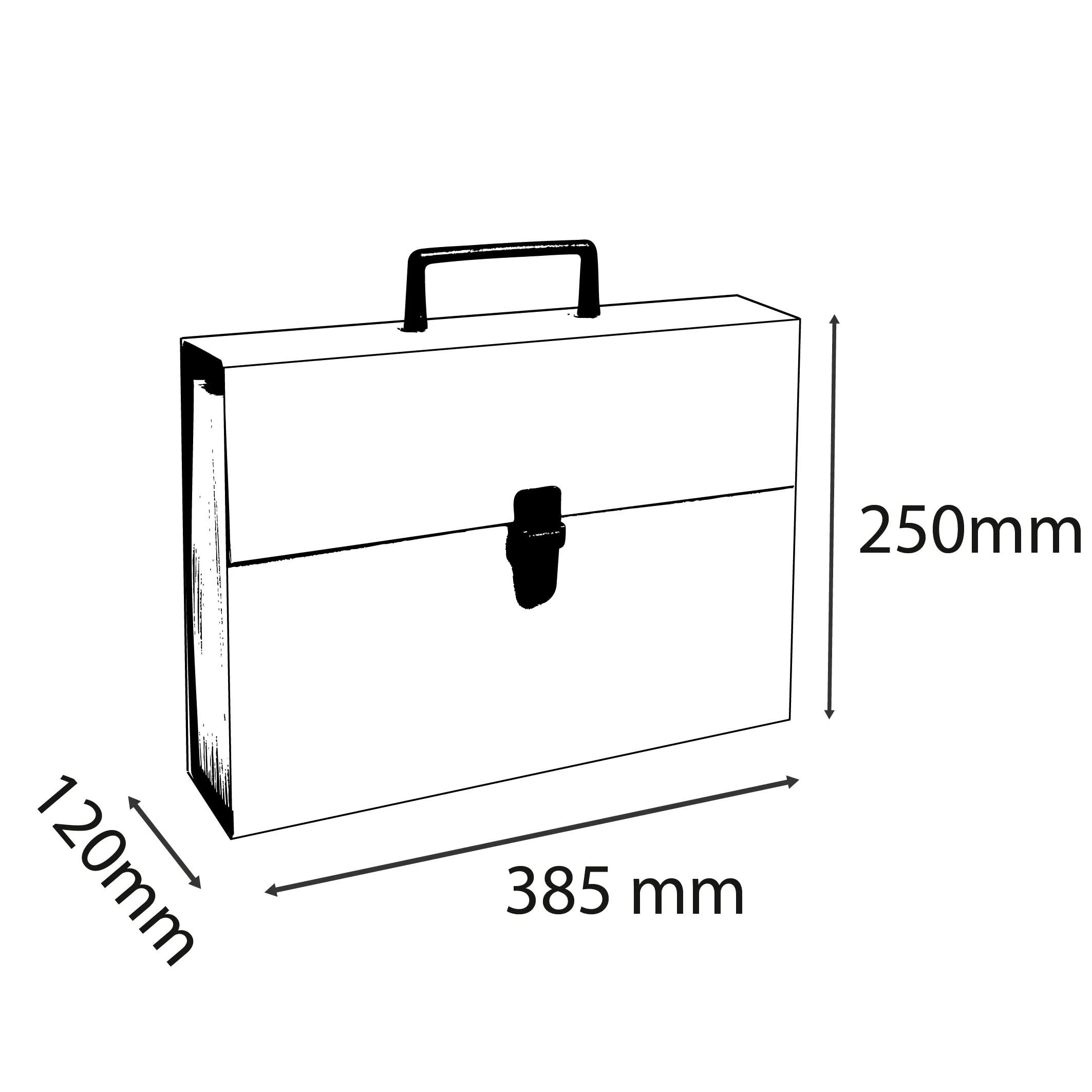 Exacompta - Nr ref. 58422E - Karton 4 sortowników walizka z uchwytem Ekonomiczna - okładka wypełniona papierem - zamknięcie na przycisk - 20 przegródek - niedz. 34x25x8cm - turkusowy