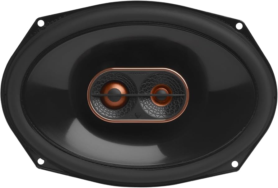 Amazon.co.jp: インフィニティリファレンス 697MF - 6インチ x 9インチ