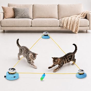 Katzenspielzeug Elektrisch Katzenlaufrad Interaktives Selbstbeschäftigung