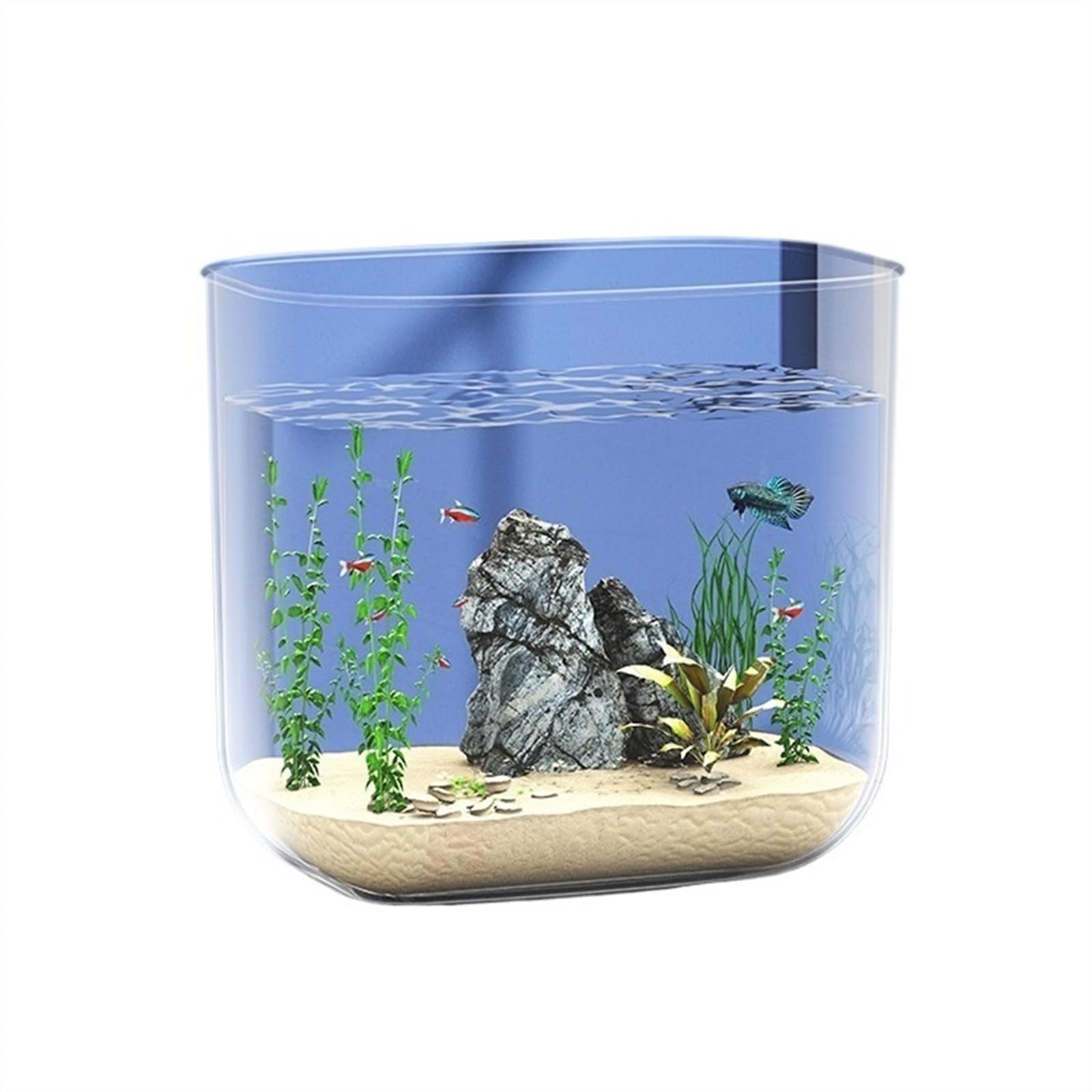 Fish