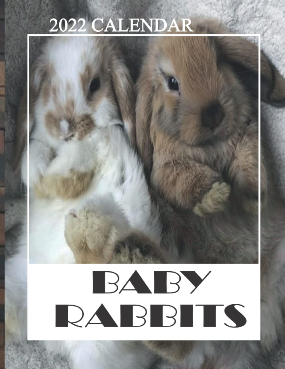 Buy Baby Rabbits 2022 Cute and Funny Baby Rabbits 2022 2023,Monthly