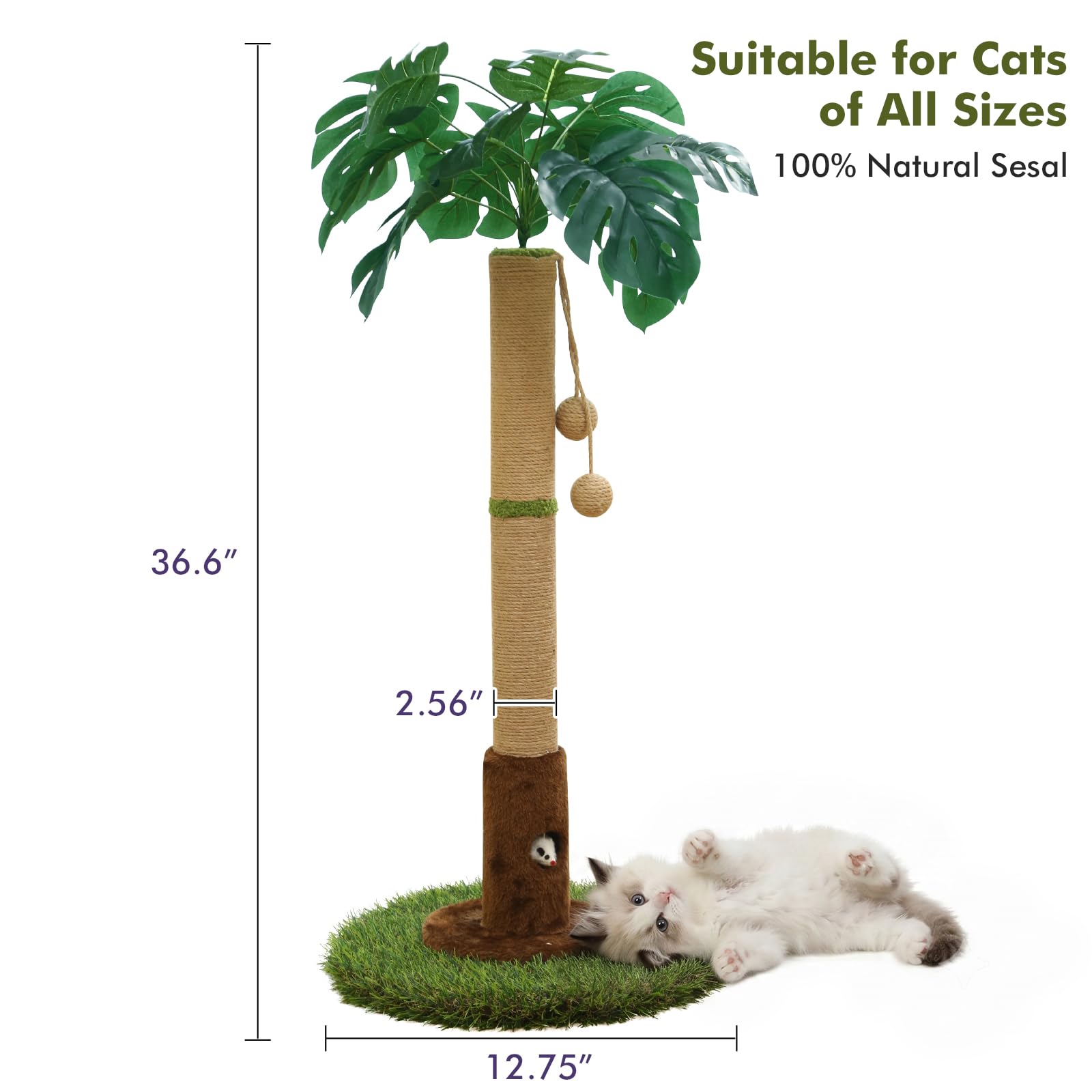 Woochpet Poste rascador para gatos y gatitos de interior, poste rascador para gatos de 35.43 pulgadas de alto con cuerda de sisal, poste rascador para gatos de palmera con bola colgante