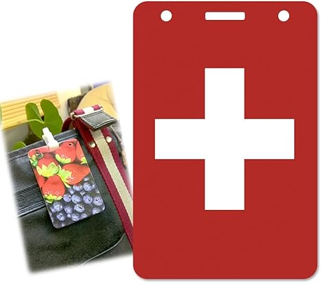Amazon Pass Case パスケース Pass Case 定期入れ Suica スイカ Pasmo パスモ Icoca イコカ Felica フェリカ 電子マネー プラスチックケース 国旗 スイス オリジナルデザイン プリント 日本製 Ana Lyn 生活雑貨 通販