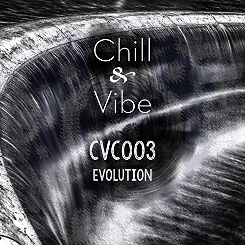 Amazon MusicでVARIOUS ARTISTSのCVC003: Evolutionを再生する