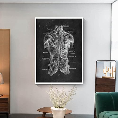 Arte de pared de anatomía humana para pared, clínica médica, oficina, decoración, sistema muscular, póster, lienzo vintage, impresiones educativas,