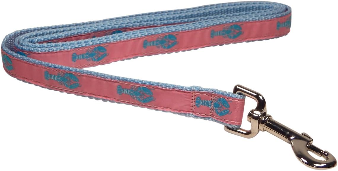 Preston "Blue Lobster on Pink" Dog Leash, SMALL Dogs, 3/4 Inch Width, 6-Foot Length