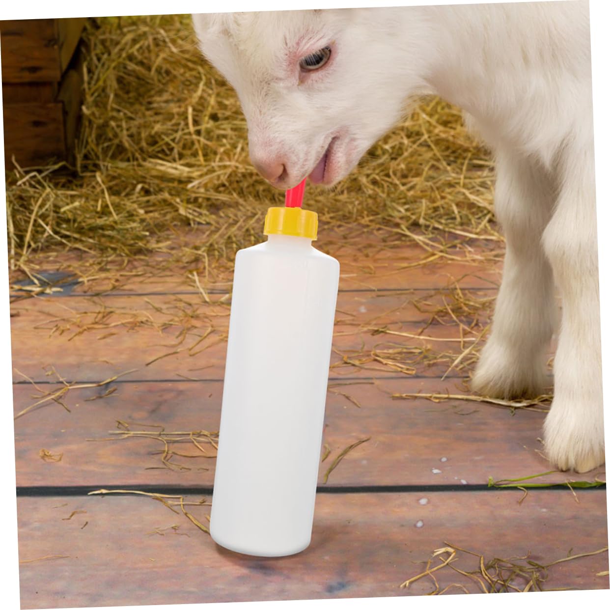 Biberon per Agnelli 400ml in Pvc Riutilizzabile con Tettarelle | Vitelli e Agnelli, Uso in Casa e Fattoria, Accessori di Ricambio Inclusi