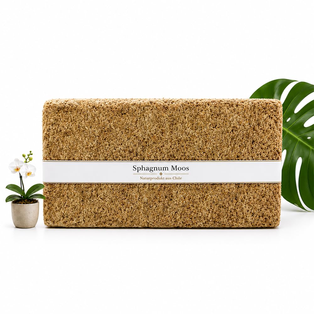 Sphagnum Moos 5Kg, ca. 400L – Premium Orchideenmoos & Pflanzensubstrat | Stark wasserspeichernd, Torfmoos, Für Orchideen, Monstera, Anthurium, Für Stecklinge & Terrarium, Für Zimmerpflanzen
