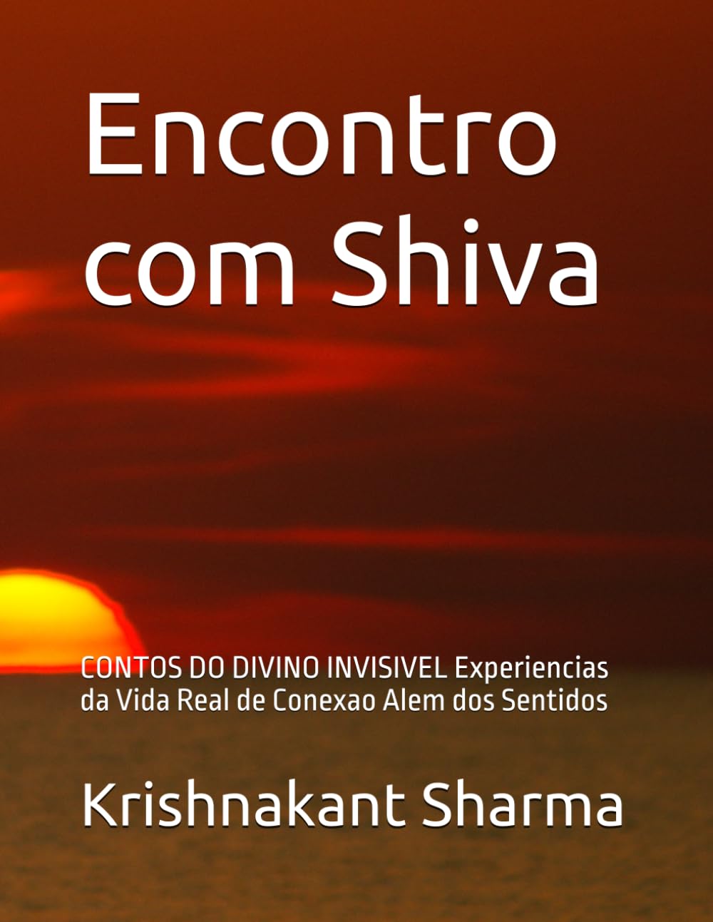 Encontro com Shiva: CONTOS DO DIVINO INVISIVEL Experiencias da Vida Real de Conexao Alem dos Sentidos