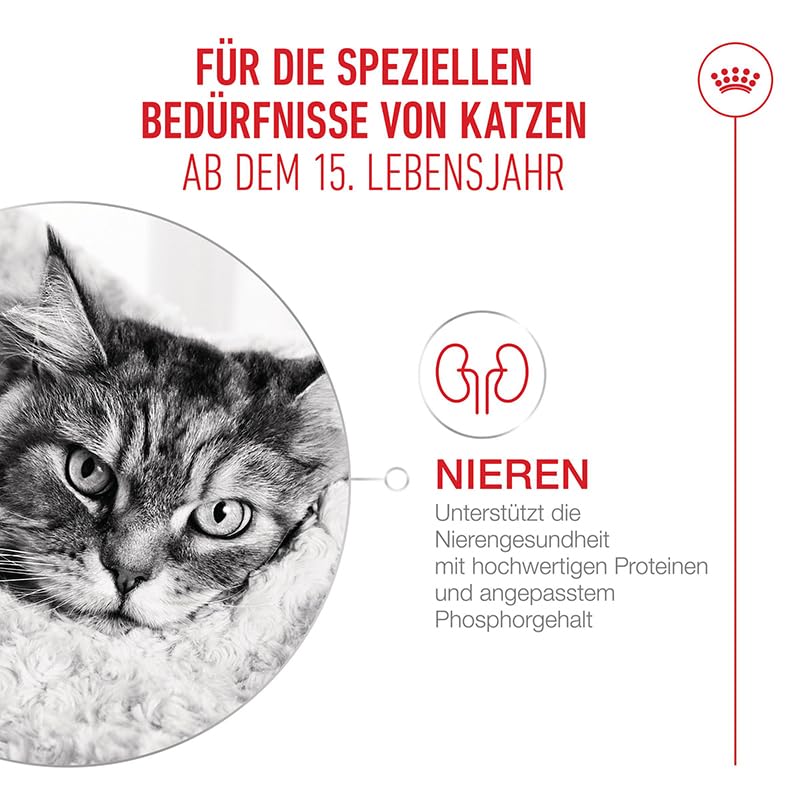 ROYAL CANIN AGEING 15+ Gravy | 12 x 85 g | Nassfutter für Katzen ab dem 15. Lebensjahr | Stückchen in Soße