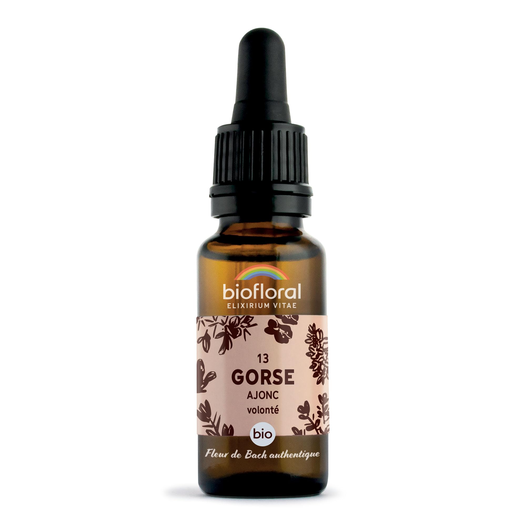 Biofloral Gorse 13 Fleur de Bach Elixir Floral du docteur Bach Ajonc en Compte-Gouttes Force et Volonté 20 ml