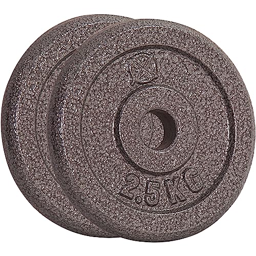 RIP X Pair of Standard 1 Weight Plates in Cast Iron - 2.5kg