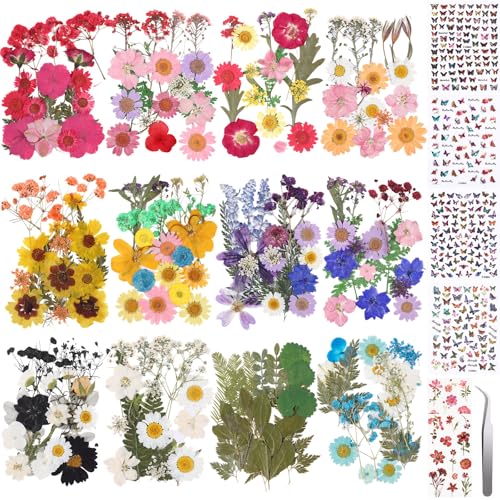 Flores Secas Presionadas AmazingSpark 650 piezas para manualidades miniatura 1
