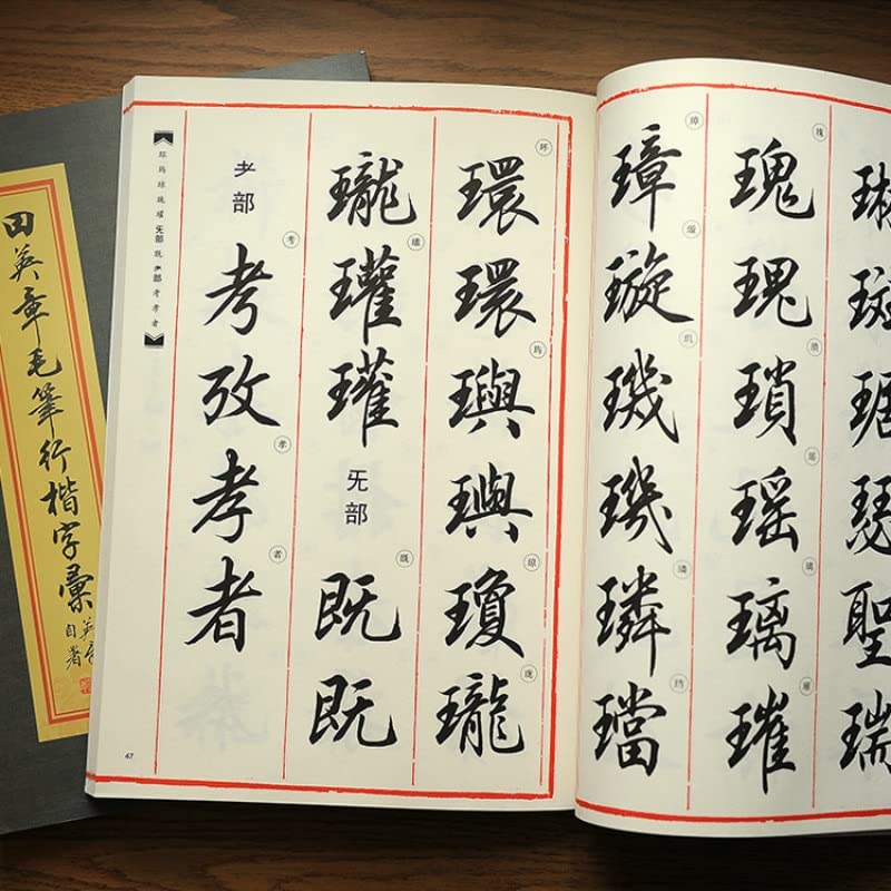 Cuaderno Mágico de Prácticas de Caligrafía, Chinese Brush Copybook Chinese Calligraphy Copybook Running Script Chinese Character Practice Copy Book(C)