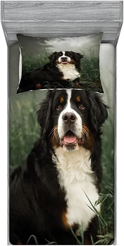 Miniatura 126 de Ambesonne - Juego de sábanas bajeras y fundas de almohada, diseño clásico botánico, plantas de jardín vintage, juego de 3 piezas con estampado