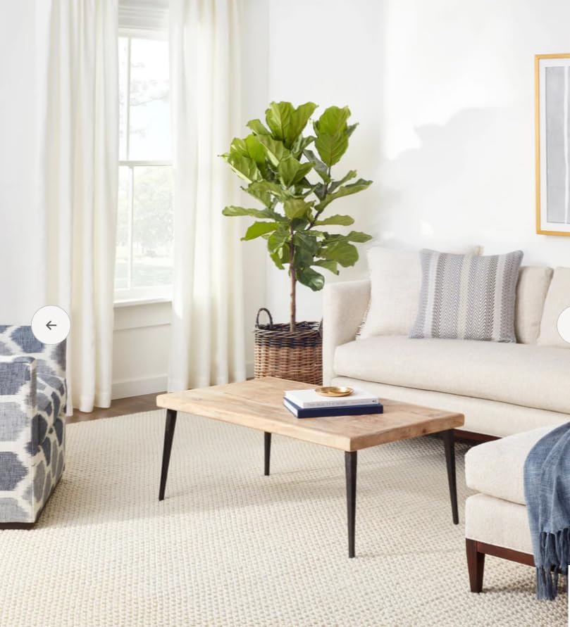 Handwoven Wool Area Rug - Hand Woven Natural Carpet Rugs- Bedroom Living Room Dining Room (Ivory- 8'x10') 8' x 10' (Rectangular)