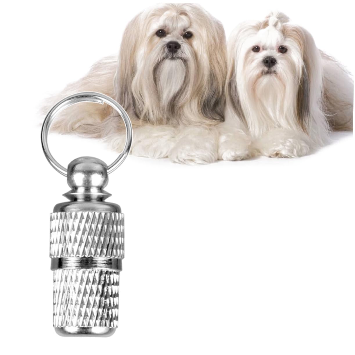 Angoily 2pcs Pet Id Tube Dog Cat Id Tags Storage Barrel for Name Address Labels Lightweight Easy to Attach