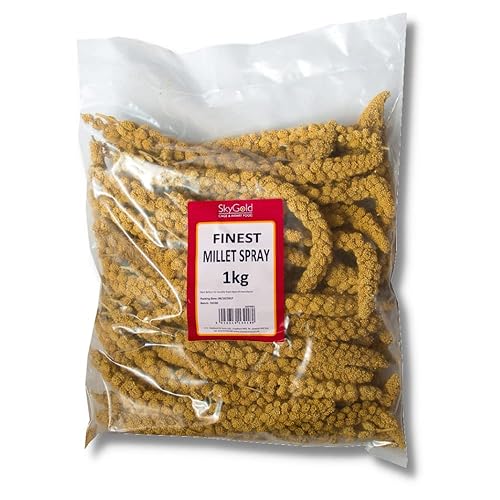 SKYGOLD Finest Millet Spray for Birds 1kg - Small Parrot & Budgie Treats, Balanced & Healthy Cage & Aviary Millet for Budgies