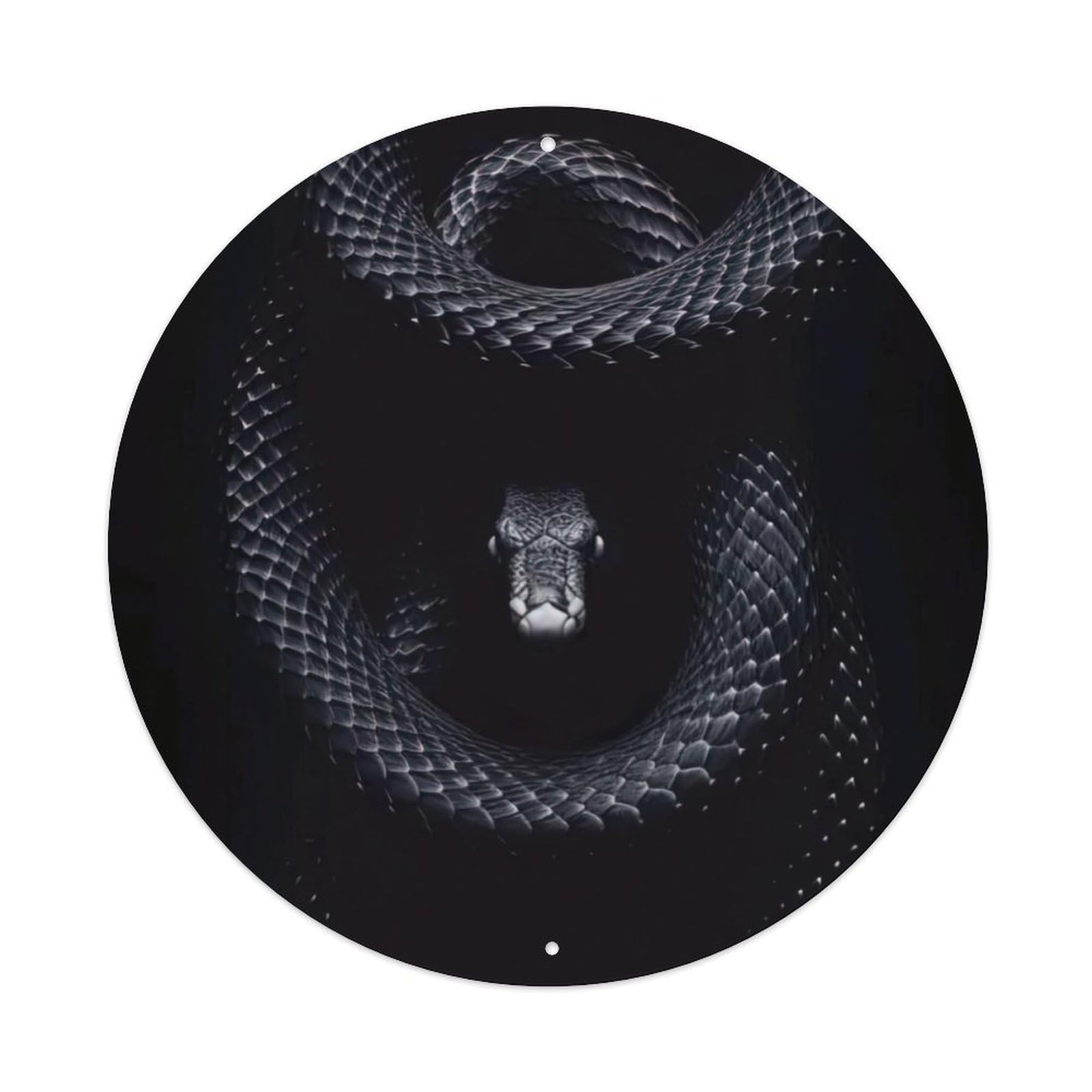 Animal Serpent Minimalist Black White Dark Aesthetic Wildlife Photography Vintage Metal Tin Sign Plaque Wall Decor for Cafe, Club Bar, Office, Garden Metal Poster 8x8Inch