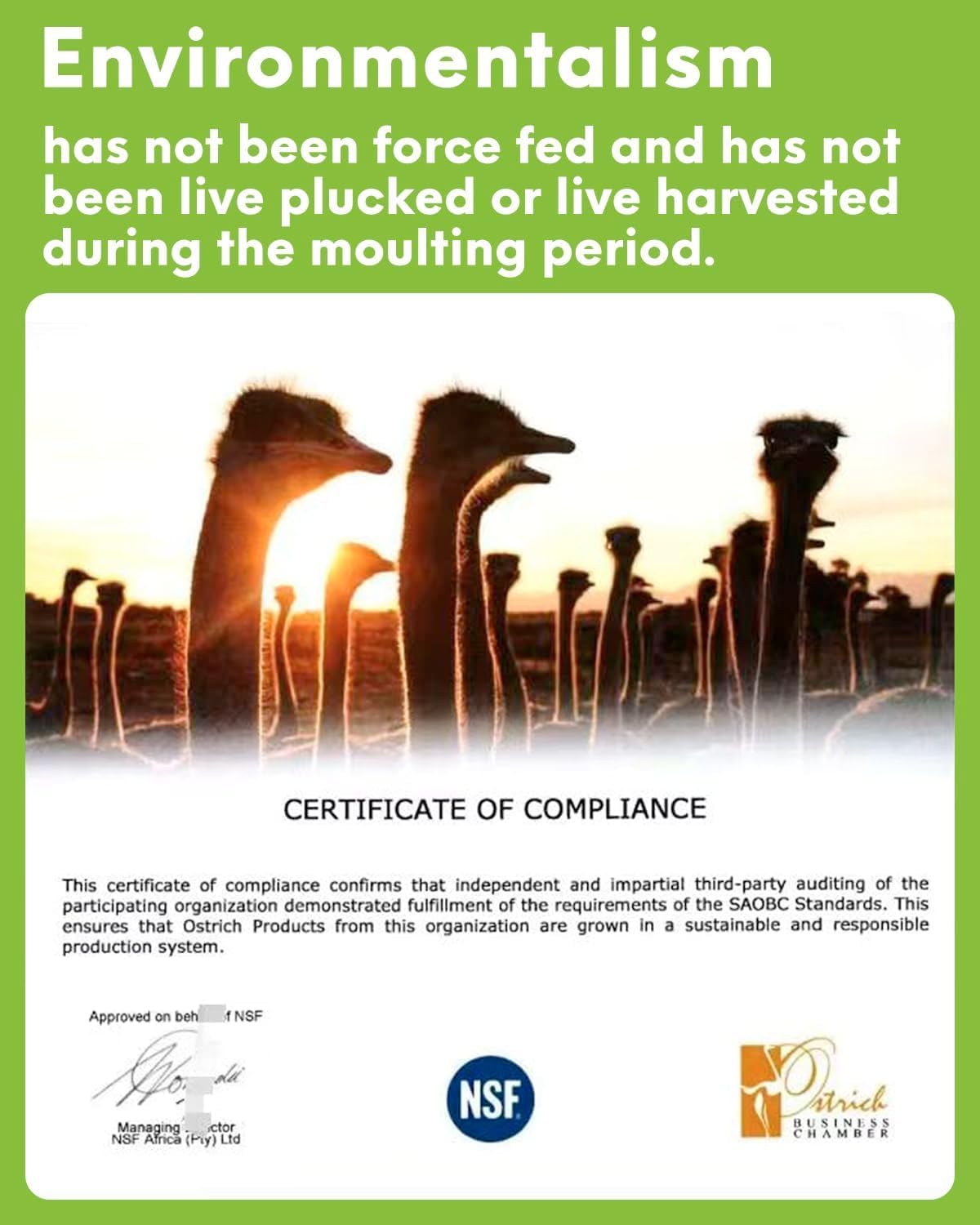 30pcs Dark Green Ostrich Feathers Natural Bulk 13-16in(33-40cm) Vase Craft Wedding Home Party Centerpieces Christmas Day Decoration