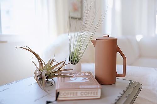 Miniatura 4 de Maceta de pared de cerámica blanca con planta de aire surtida, Tillandsia viva en soporte para plantas, jarrón para plantas suculentas, decoración