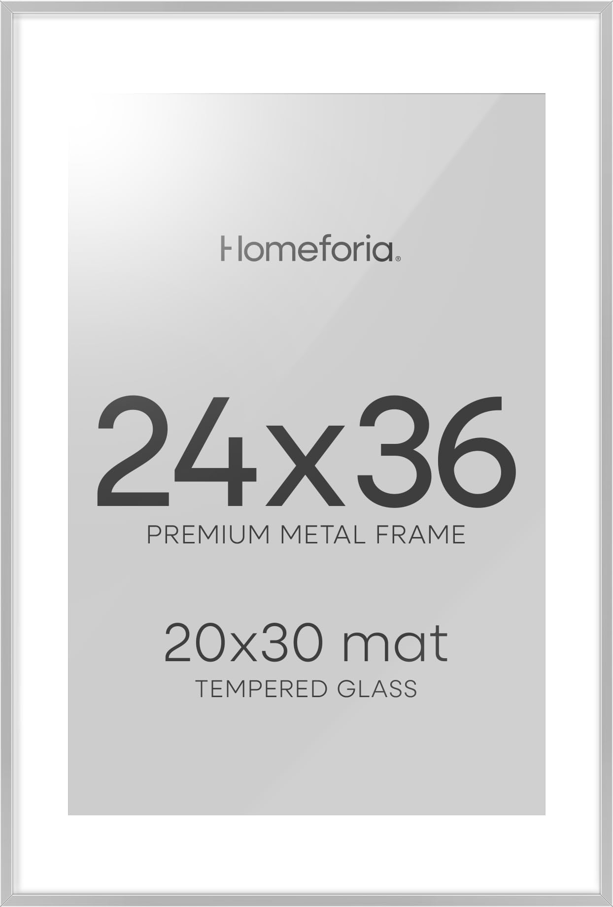 Homeforia Poster Silver Frame 24x36, High End Metal 24 x 36 Large Picture Frame with Mat 20 x 30 Photo, 24x36 Silver Frames Matted to 20x30 Print, 36x24 Thin Frames, Tempered Glass, Wall Kit, Set of 2
