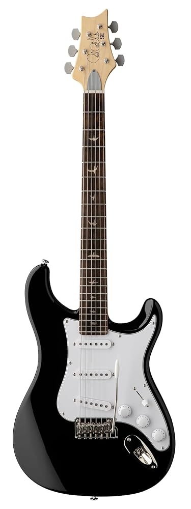Amazon.com: PRS Guitars 6 String SE Silver Sky Electric