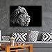 wall26 Canvas Wall Art - A Lion on Balck Background - Giclee Print Gallery Wrap Modern Home Art Ready to Hang - 24x36 inches